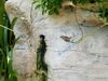 Filename=20180713_023.jpg
Filesize=893KiB
Dimensions=2048x1536
Date added=Dec 26, 2018 20180713_023.jpg