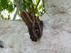 Filename=20180713_025.jpg
Filesize=555KiB
Dimensions=2048x1536
Date added=Dec 26, 2018 20180713_025.jpg