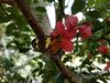 Filename=20180713_027.jpg
Filesize=335KiB
Dimensions=2048x1536
Date added=Dec 26, 2018 20180713_027.jpg