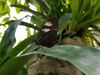 Filename=20180713_028.jpg
Filesize=325KiB
Dimensions=2048x1536
Date added=Dec 26, 2018 20180713_028.jpg