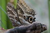 Filename=20180713_031.jpg
Filesize=374KiB
Dimensions=2047x1360
Date added=Dec 26, 2018 20180713_031.jpg