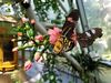 Filename=20180713_032.jpg
Filesize=380KiB
Dimensions=2048x1536
Date added=Dec 26, 2018 20180713_032.jpg