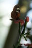 Filename=20180713_043.jpg
Filesize=211KiB
Dimensions=1360x2047
Date added=Dec 26, 2018 20180713_043.jpg
