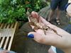 Filename=20180713_048.jpg
Filesize=293KiB
Dimensions=2048x1536
Date added=Dec 26, 2018 20180713_048.jpg