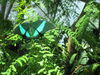 Filename=20180713_052.jpg
Filesize=571KiB
Dimensions=2048x1536
Date added=Dec 26, 2018 20180713_052.jpg