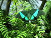 Filename=20180713_053.jpg
Filesize=592KiB
Dimensions=2048x1536
Date added=Dec 26, 2018 20180713_053.jpg