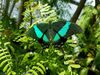 Filename=20180713_054.jpg
Filesize=528KiB
Dimensions=2048x1536
Date added=Dec 26, 2018 20180713_054.jpg