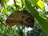 Filename=20180713_055.jpg
Filesize=416KiB
Dimensions=2048x1536
Date added=Dec 26, 2018 20180713_055.jpg