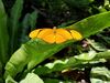 Filename=20180713_059.jpg
Filesize=321KiB
Dimensions=2048x1536
Date added=Dec 26, 2018 20180713_059.jpg
