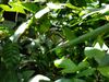 Filename=20180713_061.jpg
Filesize=355KiB
Dimensions=2048x1536
Date added=Dec 26, 2018 20180713_061.jpg