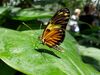 Filename=20180713_065.jpg
Filesize=409KiB
Dimensions=2048x1536
Date added=Dec 26, 2018 20180713_065.jpg