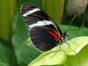 Filename=20180713_069.jpg
Filesize=191KiB
Dimensions=2048x1536
Date added=Dec 26, 2018 20180713_069.jpg