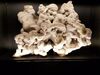Filename=20180713_097.jpg
Filesize=282KiB
Dimensions=2048x1536
Date added=Dec 26, 2018 20180713_097.jpg