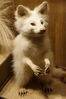 Filename=20180713_108.jpg
Filesize=384KiB
Dimensions=1360x2047
Date added=Dec 26, 2018 20180713_108.jpg