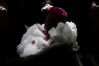 Filename=20180713_130.jpg
Filesize=168KiB
Dimensions=2047x1360
Date added=Dec 26, 2018 20180713_130.jpg