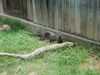 Filename=20180714_014.jpg
Filesize=828KiB
Dimensions=2048x1536
Date added=Jan 16, 2019 20180714_014.jpg