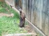 Filename=20180714_015.jpg
Filesize=802KiB
Dimensions=2048x1536
Date added=Jan 16, 2019 20180714_015.jpg