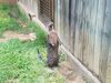 Filename=20180714_016.jpg
Filesize=857KiB
Dimensions=2048x1536
Date added=Jan 16, 2019 20180714_016.jpg