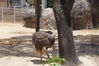 Filename=20180714_043.jpg
Filesize=678KiB
Dimensions=2047x1360
Date added=Jan 16, 2019 20180714_043.jpg