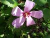 Filename=20180714_044.jpg
Filesize=347KiB
Dimensions=2048x1536
Date added=Jan 16, 2019 20180714_044.jpg
