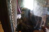Filename=20180714_049.jpg
Filesize=394KiB
Dimensions=2047x1360
Date added=Jan 16, 2019 20180714_049.jpg