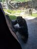 Filename=20180714_050.jpg
Filesize=530KiB
Dimensions=1536x2048
Date added=Jan 16, 2019 20180714_050.jpg