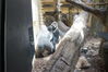 Filename=20180714_055.jpg
Filesize=527KiB
Dimensions=2047x1360
Date added=Jan 16, 2019 20180714_055.jpg