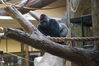 Filename=20180714_056.jpg
Filesize=448KiB
Dimensions=2047x1360
Date added=Jan 16, 2019 20180714_056.jpg