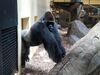 Filename=20180714_058.jpg
Filesize=584KiB
Dimensions=2048x1536
Date added=Jan 16, 2019 20180714_058.jpg