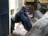 Filename=20180714_059.jpg
Filesize=558KiB
Dimensions=2048x1536
Date added=Jan 16, 2019 20180714_059.jpg