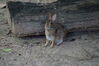 Filename=20180714_063.jpg
Filesize=503KiB
Dimensions=2047x1360
Date added=Jan 16, 2019 20180714_063.jpg