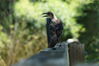 Filename=20180714_066.jpg
Filesize=227KiB
Dimensions=2047x1360
Date added=Jan 16, 2019 20180714_066.jpg