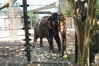 Filename=20180714_071.jpg
Filesize=584KiB
Dimensions=2047x1360
Date added=Jan 16, 2019 20180714_071.jpg