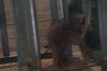 Filename=20180714_078.jpg
Filesize=272KiB
Dimensions=2047x1360
Date added=Jan 16, 2019 20180714_078.jpg