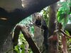 Filename=20180714_079.jpg
Filesize=569KiB
Dimensions=2048x1536
Date added=Jan 16, 2019 20180714_079.jpg
