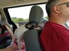 Filename=20180716_001.jpg
Filesize=382KiB
Dimensions=2048x1536
Date added=Jan 16, 2019 20180716_001.jpg