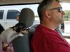 Filename=20180716_002.jpg
Filesize=363KiB
Dimensions=2048x1536
Date added=Jan 16, 2019 20180716_002.jpg