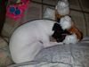 Filename=20180721_001.jpg
Filesize=480KiB
Dimensions=2048x1536
Date added=Jan 20, 2019 20180721_001.jpg