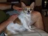 Filename=20180721_002.jpg
Filesize=367KiB
Dimensions=2048x1536
Date added=Jan 20, 2019 20180721_002.jpg