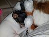 Filename=20180721_003.jpg
Filesize=451KiB
Dimensions=2048x1536
Date added=Jan 20, 2019 20180721_003.jpg