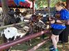 Filename=20180728_005.jpg
Filesize=802KiB
Dimensions=2048x1536
Date added=Jan 20, 2019 20180728_005.jpg
