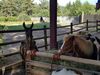 Filename=20180728_007.jpg
Filesize=750KiB
Dimensions=2048x1536
Date added=Jan 20, 2019 20180728_007.jpg