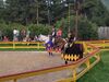 Filename=20180728_012.jpg
Filesize=569KiB
Dimensions=2048x1536
Date added=Jan 20, 2019 20180728_012.jpg