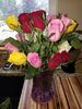 Filename=20180814_002.jpg
Filesize=500KiB
Dimensions=1536x2048
Date added=Jan 20, 2019 20180814_002.jpg
