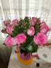 Filename=20180815_001.jpg
Filesize=447KiB
Dimensions=1536x2048
Date added=Jan 20, 2019 20180815_001.jpg