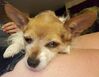 Filename=20180815_003.jpg
Filesize=1147KiB
Dimensions=1886x1460
Date added=Jan 20, 2019 20180815_003.jpg
