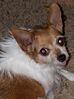 Filename=20180815_004.jpg
Filesize=367KiB
Dimensions=1535x2047
Date added=Jan 20, 2019 20180815_004.jpg