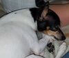 Filename=20180815_006.jpg
Filesize=471KiB
Dimensions=2048x1747
Date added=Jan 20, 2019 20180815_006.jpg
