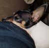 Filename=20180815_009.jpg
Filesize=590KiB
Dimensions=2047x2006
Date added=Jan 20, 2019 20180815_009.jpg