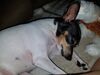 Filename=20180816_001.jpg
Filesize=505KiB
Dimensions=2048x1536
Date added=Jan 20, 2019 20180816_001.jpg